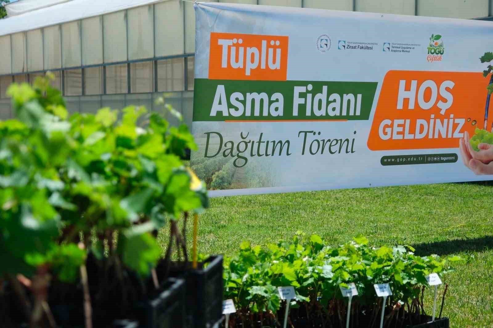 togu-den-ureticiye-bagcilik-destegi
