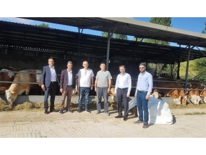 İl Müdürü Yoldaş’ın Pazaryeri Ziyareti