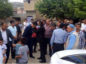 Haşimi Dur Durak Bilmiyor