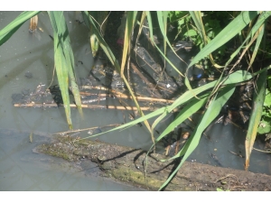 Bağlar Deresi, Vatandaş İle Organize Sanayiin Arasını Açtı