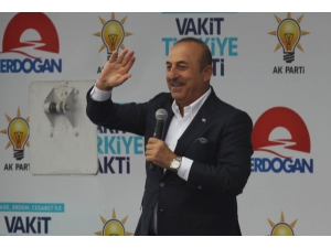Dışişleri Bakanı Mevlüt Çavuşoğlu: