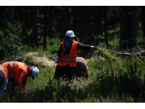 Bursa’nın Akciğerleri Gençleşiyor