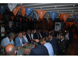 Bal, Durmak Bilmiyor