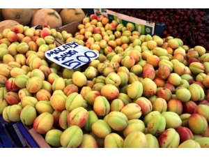 Yaş Kayısıya Yoğun İlgi