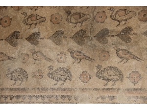 Ahırdan Çıkan Tarih