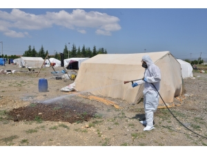 Tarım İşçilerinin Çadırları İlaçlanıyor