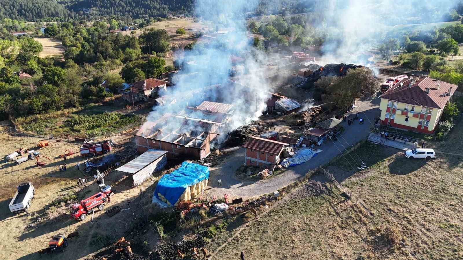 kastamonu-da-14-buyukbas-hayvanin-telef-oldugu-yangin-sonduruldu