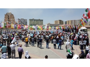 Hdp’nin Kızıltepe Ve Nusaybin Mitingleri Boş Kaldı
