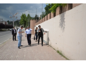 Başkan Can, Dikey Bahçe Çalışmalarını Yerinde İnceledi