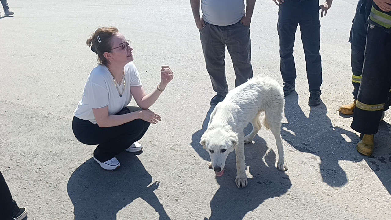 mahsur-kalan-kopegin-sesini-sadece-o-duydu-kurtarildiginda-gozyaslarina-boguldu