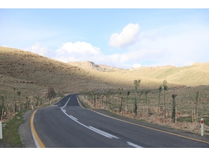 Mardin’e Binlerce Fidan Dikildi