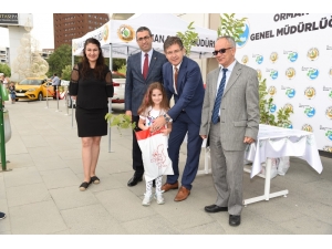 Çölleşmeyle Mücadele İçin 2 Bin Fidan Dağıtıldı