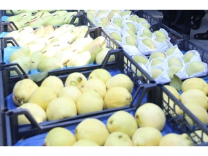 Tarım Şehri Bursa’da Meyvecilik Güç Kazanıyor