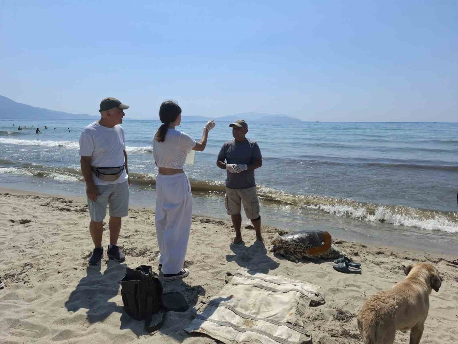 uremek-icin-geldikleri-kiyilarda-3-caretta-caretta-olu-bulundu