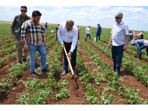 Atik: "25 Haziran’da Aydınlık Bir Türkiye’ye Uyanacağız"