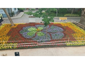 Eskihisar Rengarenk Çiçeklerle Donatıldı