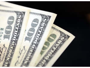 Serbest Piyasada Döviz Fiyatları