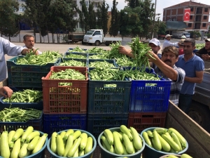 Boyalıca Fasulyesine Büyük Rağbet