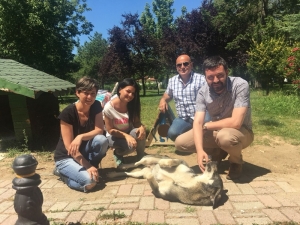 Sokak Hayvanlarına Büyükşehir Eli