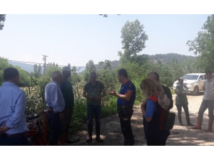 Osmaneli’nde Dolu Yağışı Tarımsal Alanda Zarara Yol Açtı