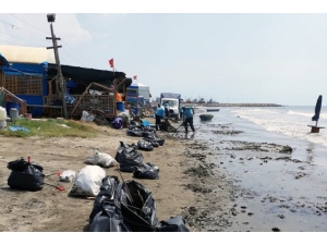 Adana’nın Plajları Temizlendi