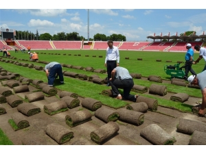 Atatürk Stadının Çimleri Sökülmeye Başladı