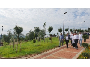 21 Çeşit Fındık Türü Trabzon Botanik’te Sergilenecek