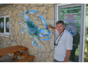 Dalko Altın Yılını Yaşıyor