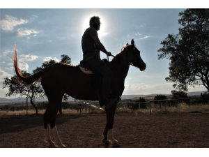 Müdürlüğü Bıraktı, At Çiftliği Açtı