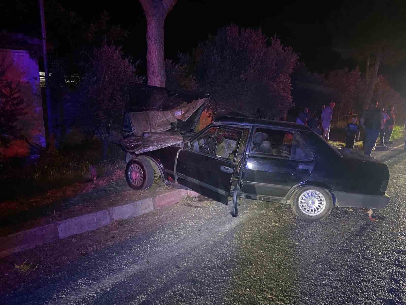sokak-kopeginden-kacmak-isteyen-otomobil-agaca-carpti-1-i-agir-2-yarali