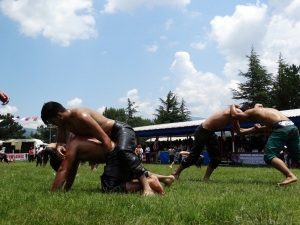 Domaniç Güreşlerinin Başpehlivanı Ali Gökçen Oldu