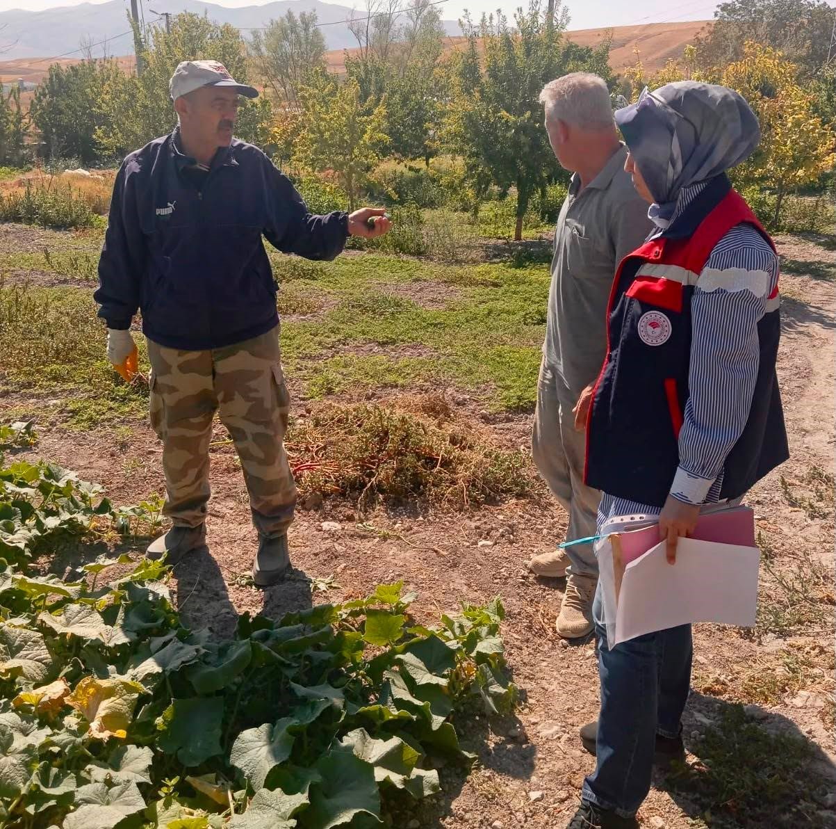 tursuluk-salatalik-uretim-alanlarinda-tarim-ilaci-kontrolleri-suruyor