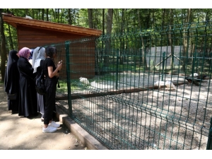 Gez-gör İle ’Doğa Kocaeli’ Turuna Katıldılar