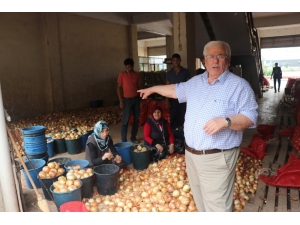 15-20 Gün İçerisinde Patates Ve Soğan 1-1,5 Lira Olacak