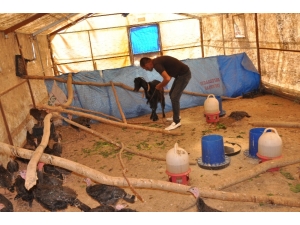 Malını Ve Paralarını Uyuşturucu Batağında Kaybetti