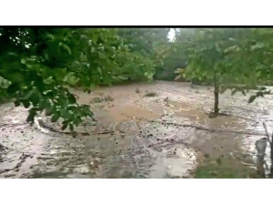 Dolu Yağışı Tarım Arazilerine Zarar Verdi