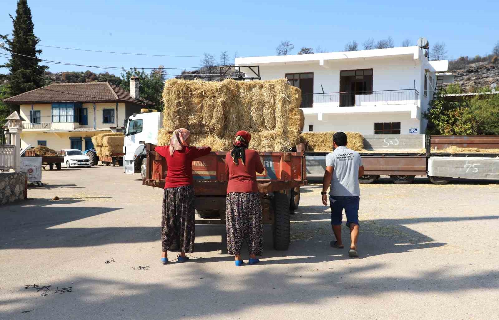 aksu-da-yangindan-etkilenen-bolgelere-saman-destegi