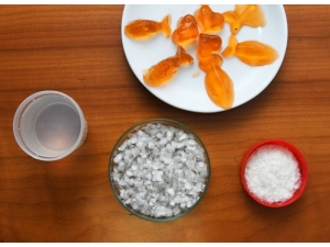 Balık Pulundan Üretilen ’Helal Gıda Jelatini’ne Yatırımcı Desteği Bekliyorlar