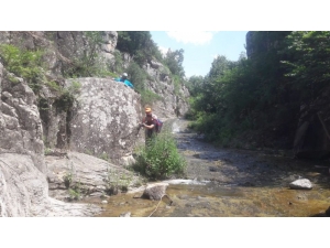 Avlakkaya Görenleri Kendisine Hayran Bırakıyor