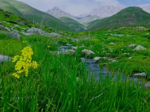 Terörün Yerini Huzura Bıraktığı Beytüşşebap Fotoğraflarla Büyüledi