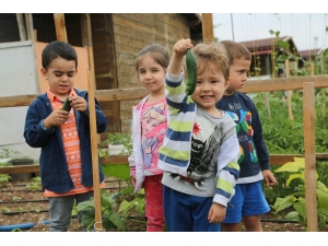 Minikler Bahçedeki Mahsulleri Topladı