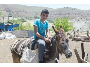 14 Yaşındaki Berdan’ın Lgs Başarısı Dikkat Çekti