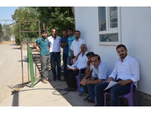 Toprak Mahsulleri Ofisi, Buğday Alımlarına Başladı