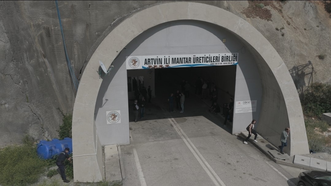 tunelde-uretilen-istiridye-mantarinin-ilk-hasadi-gerceklestirildi