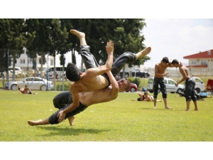 Başpehlivanlar Kırkpınar Öncesi Son Yağlı Antrenmanını Yaptı