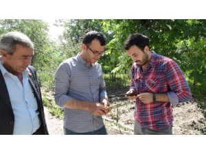 Domaniç’te Zarar Tespit Çalışmaları