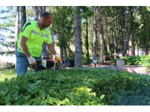 Çankırı Kalesi Çiçek Açtı