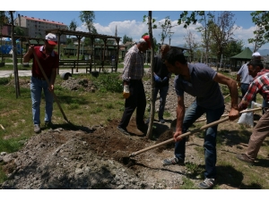 Aziziye’ye 50 Bin Çiçek Dikiliyor