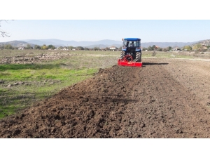 Aydın’da 43 Bin Hektar Alanda Yem Bitkisi Ekimi Yapılıyor