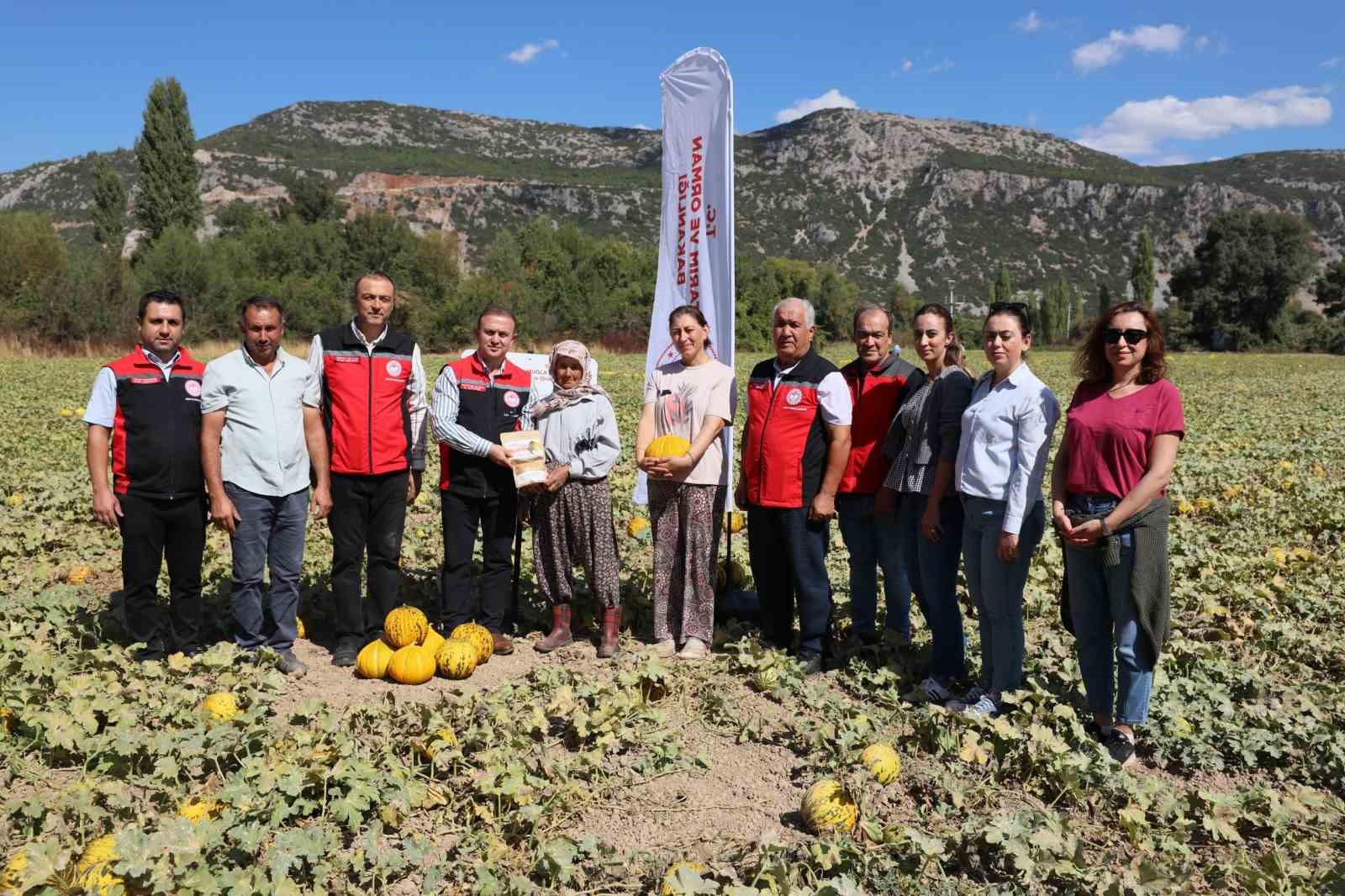 mentese-karabaglar-yaylasinda-asirlik-lezzetin-hasat-zamani
